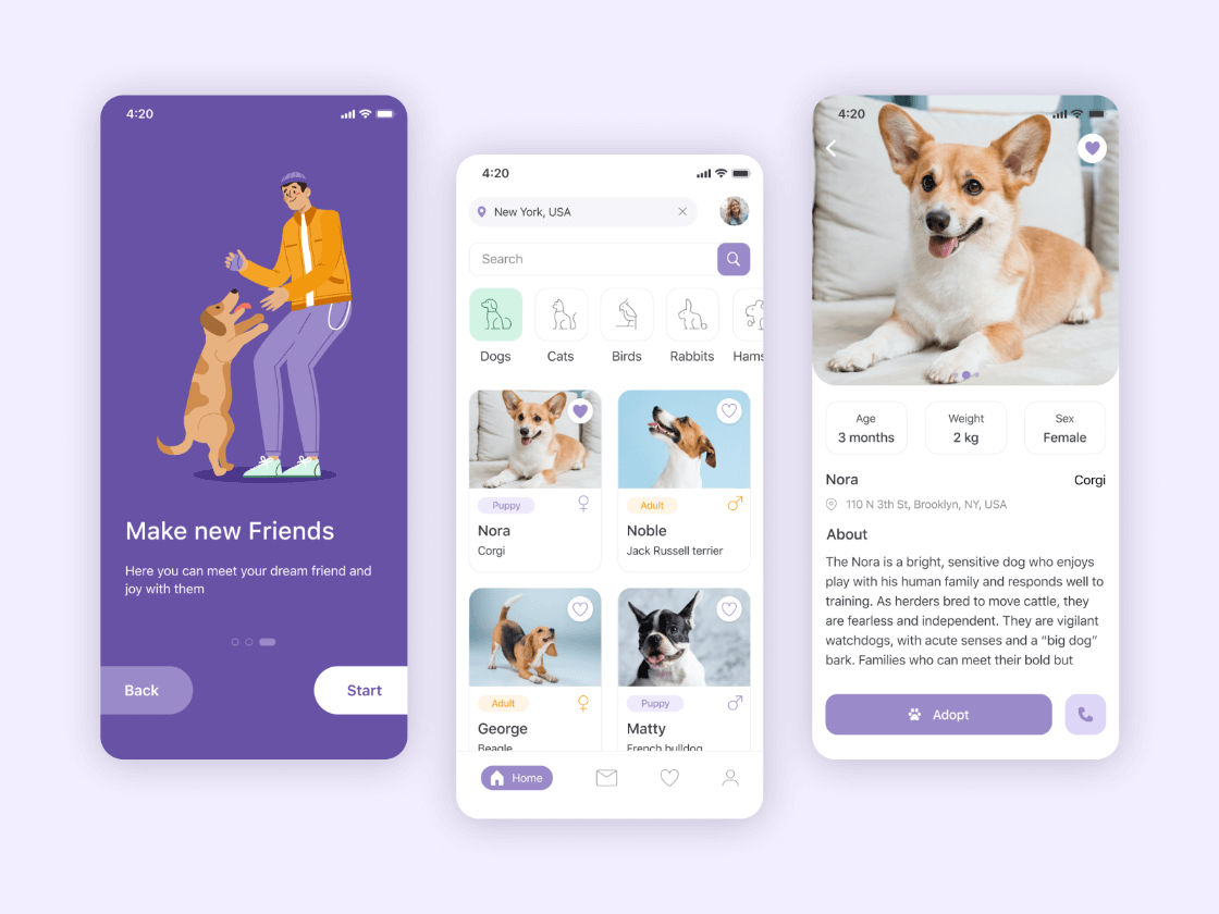 Pet Adoptation App Free Figma Resource Figma Elements