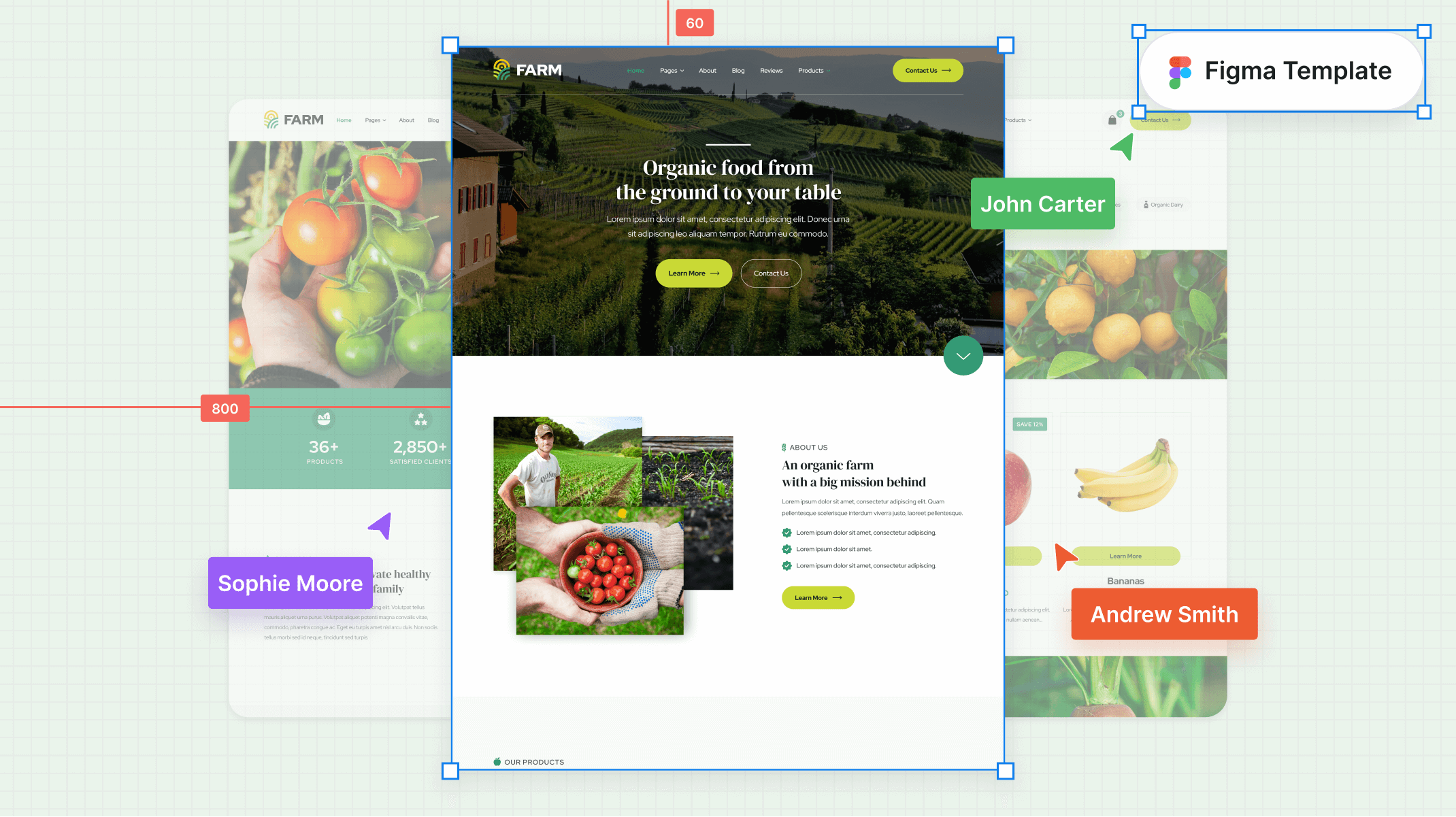 Farm Figma Template