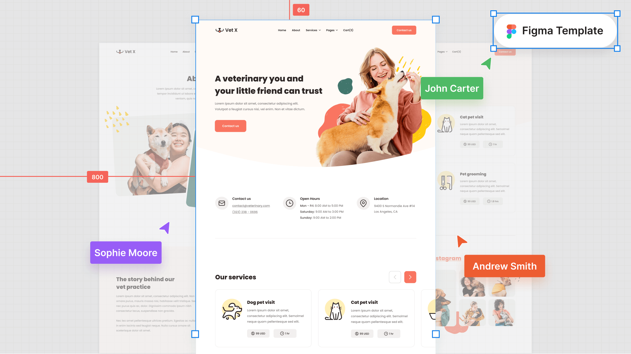 Veterinary Figma Template