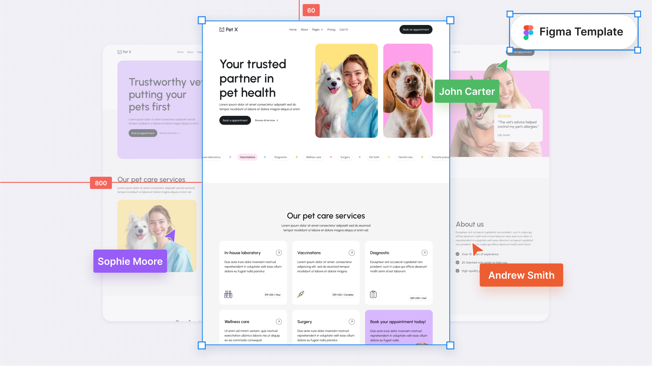 Veterinary Figma Template